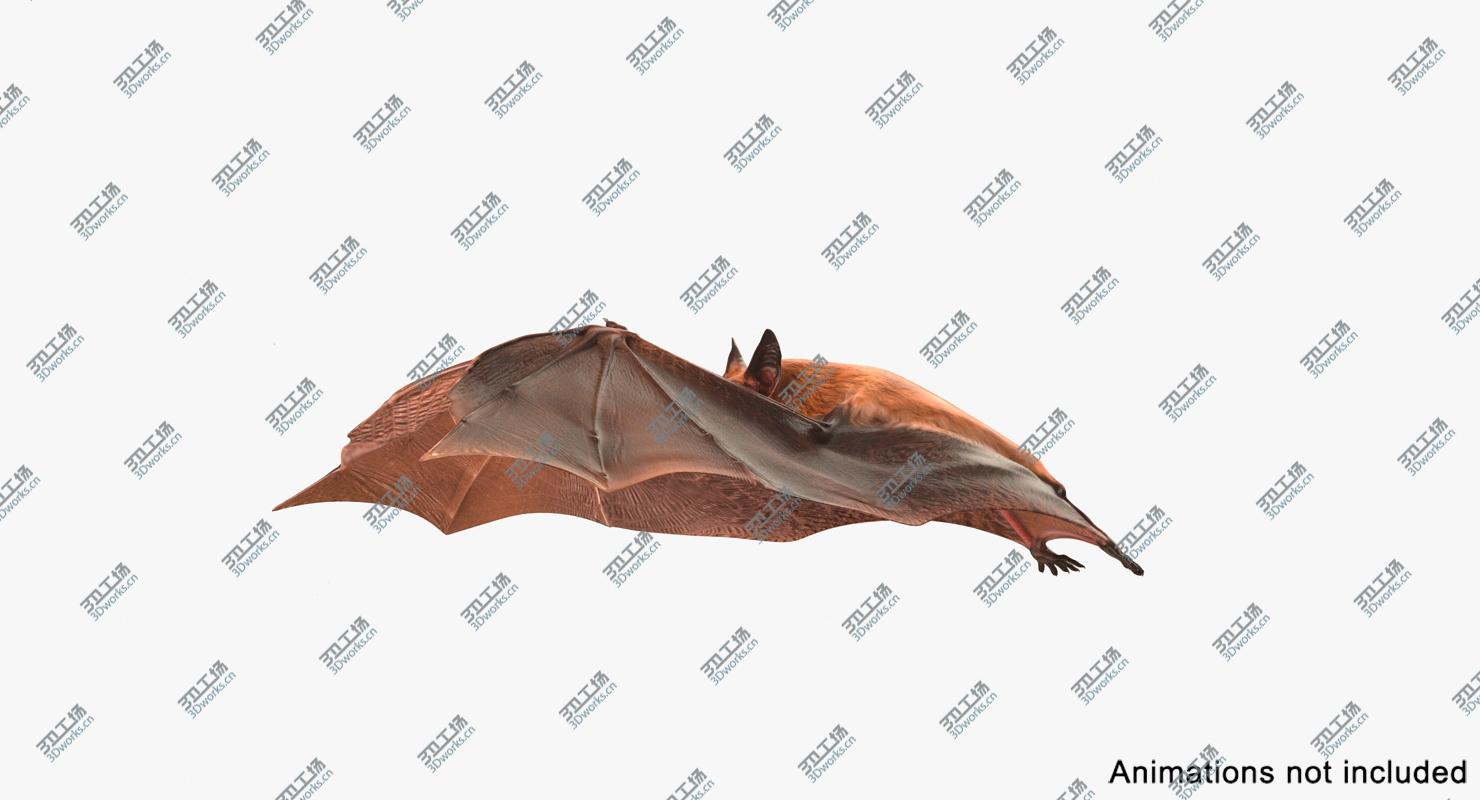 images/goods_img/2021040233/Bat Rigged for Cinema 4D/3.jpg